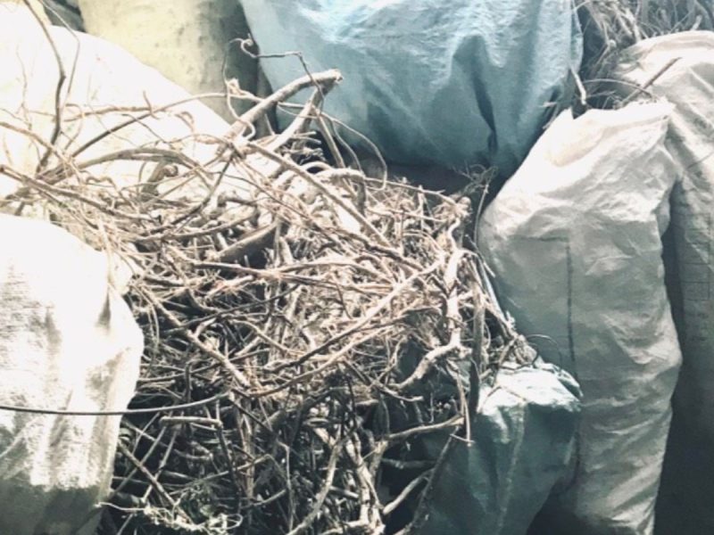 کشف وضبط ۲٠٠کیلو ریشه شیرین بیان قاچاق